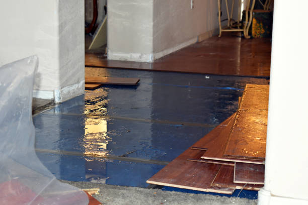 Professional Burst Pipe Cleanup technician working in Hardwick, GA